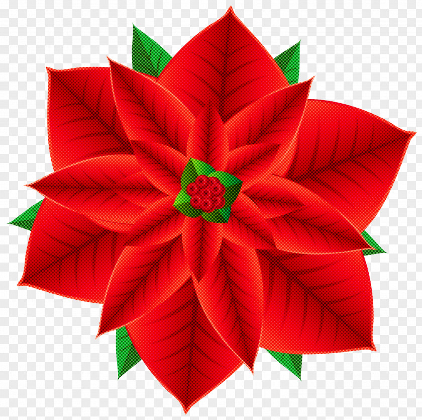 Holly Origami PNG
