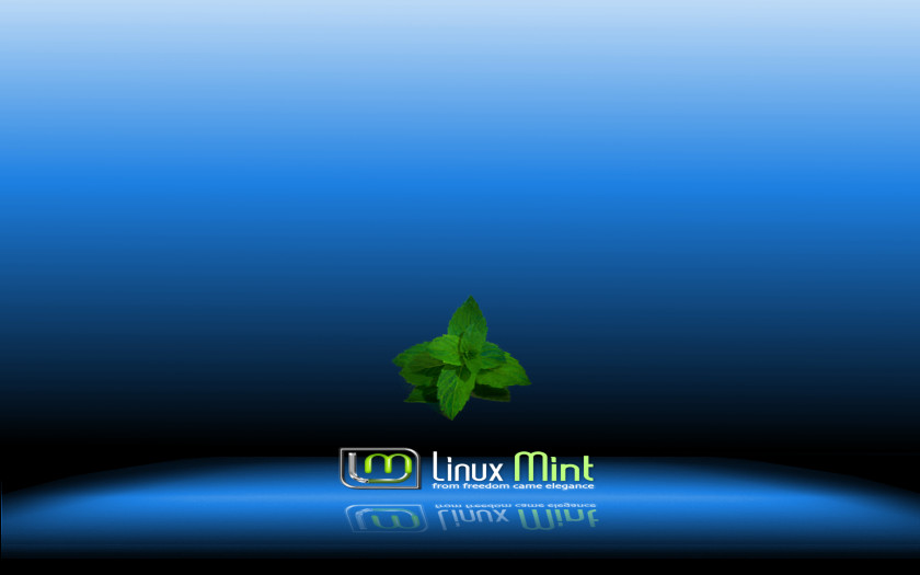 Mint Desktop Wallpaper KDE Screenshot PNG