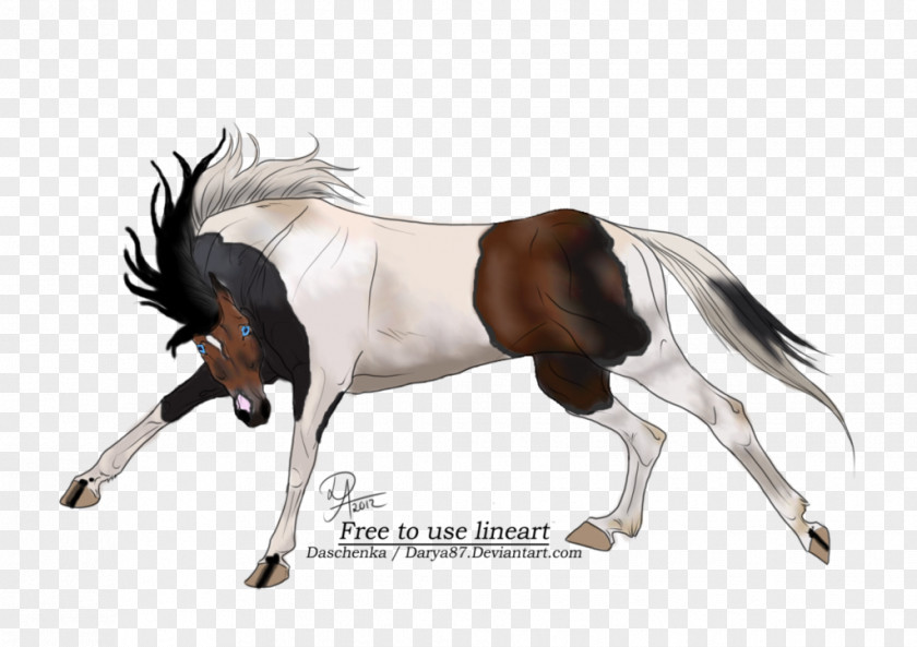 Mustang Foal Mare Stallion Pony PNG