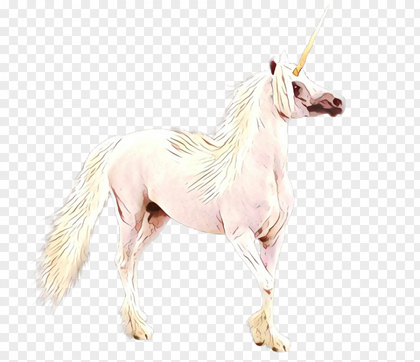 Mustang Stallion Yonni Meyer Horse PNG