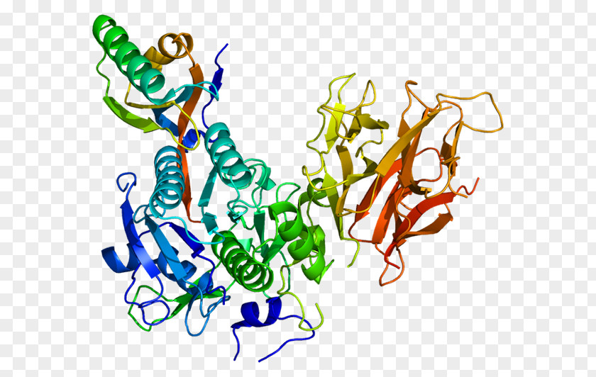 Protein Production PCSK9 Proprotein Convertase Alirocumab Apolipoprotein B PNG