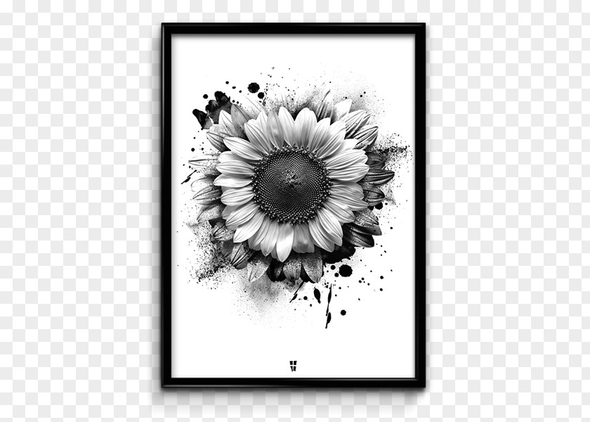 Sunflower Leaf Poster Omega Phi Beta Monochrome Photography PNG