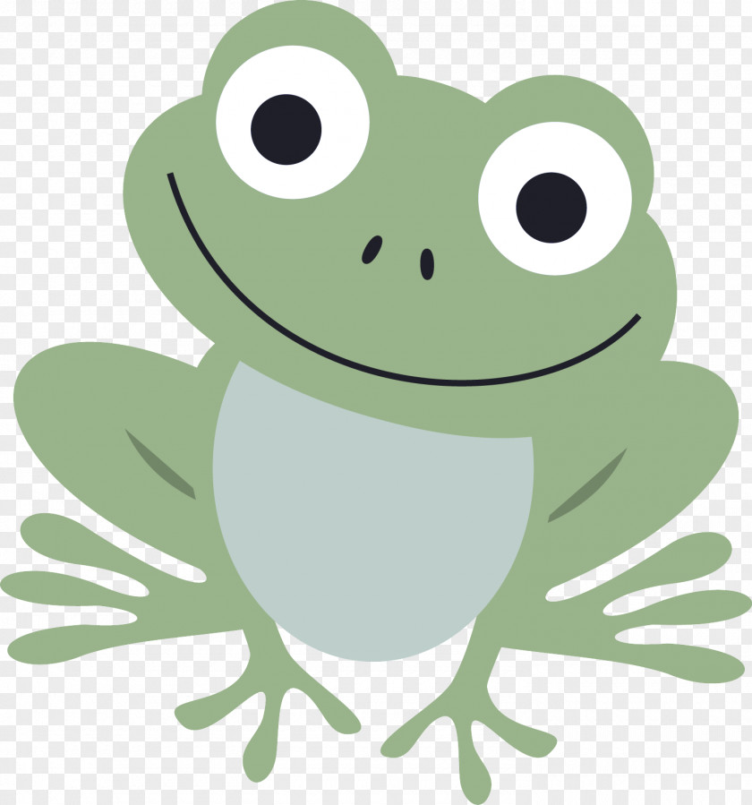 Frog True Green Toad Hyla PNG