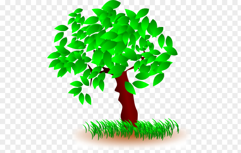 Natural Environment Tree Desktop Wallpaper Clip Art PNG