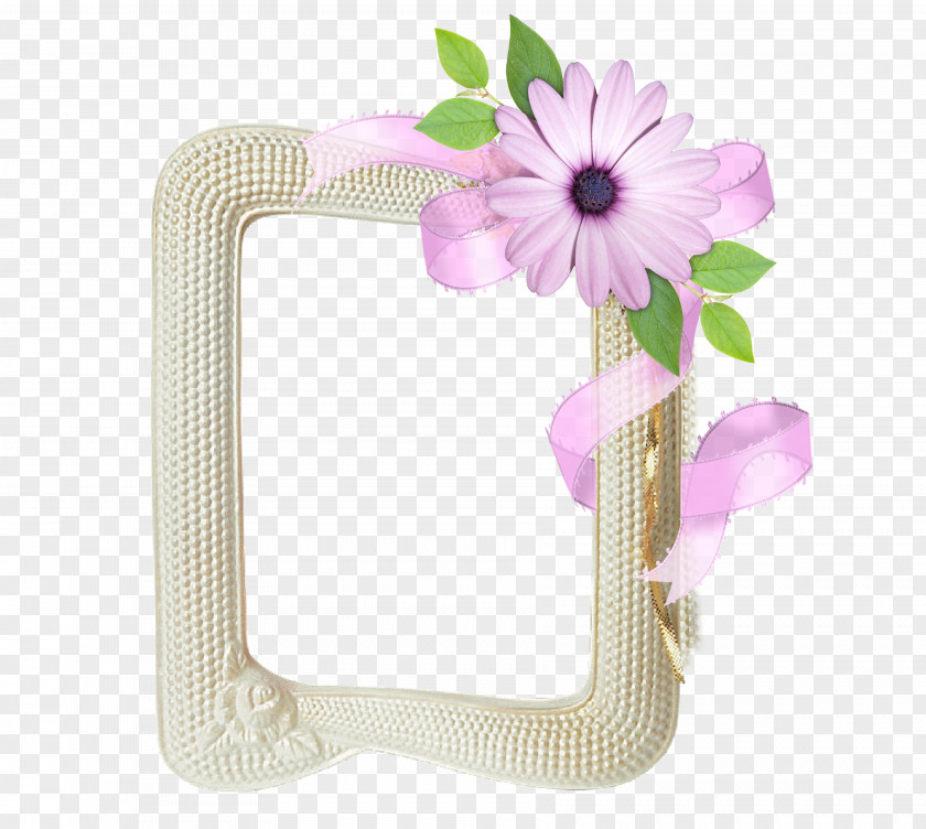 рамка Picture Frames PNG