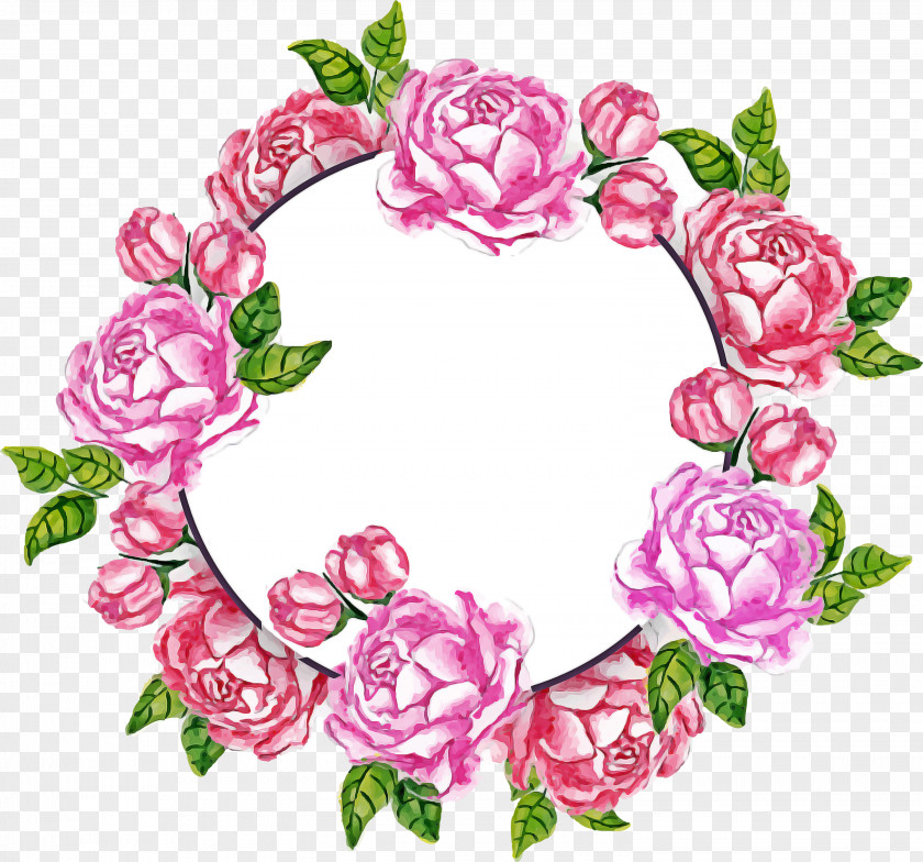 Floral Design PNG