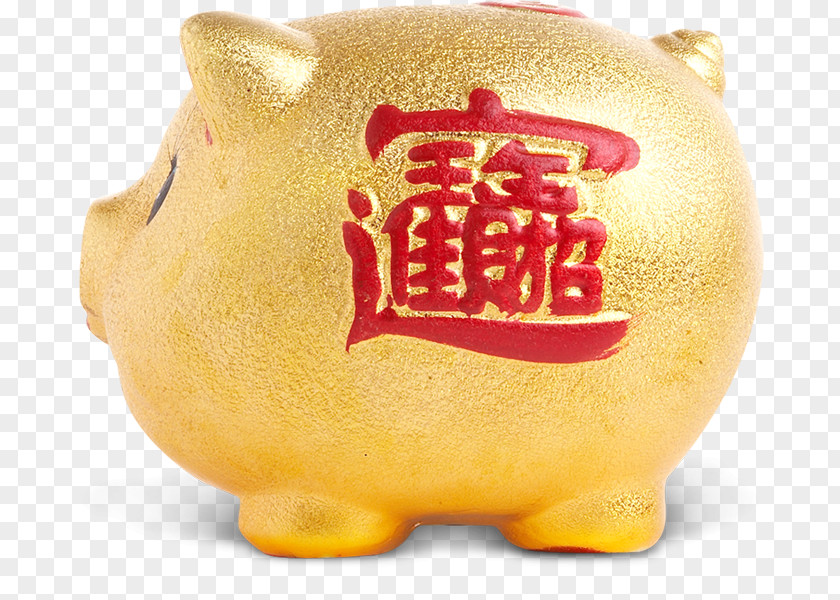 Fortune Pig Download Gold PNG