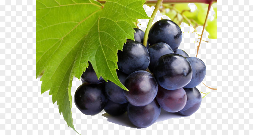 Grape Pinot Noir Juice Meunier Grape-Nuts PNG
