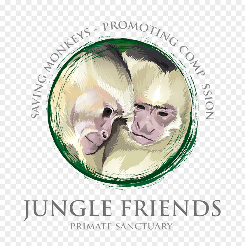 Monkey Capuchin Jungle Friends Primate Sn Center White-headed Ape PNG