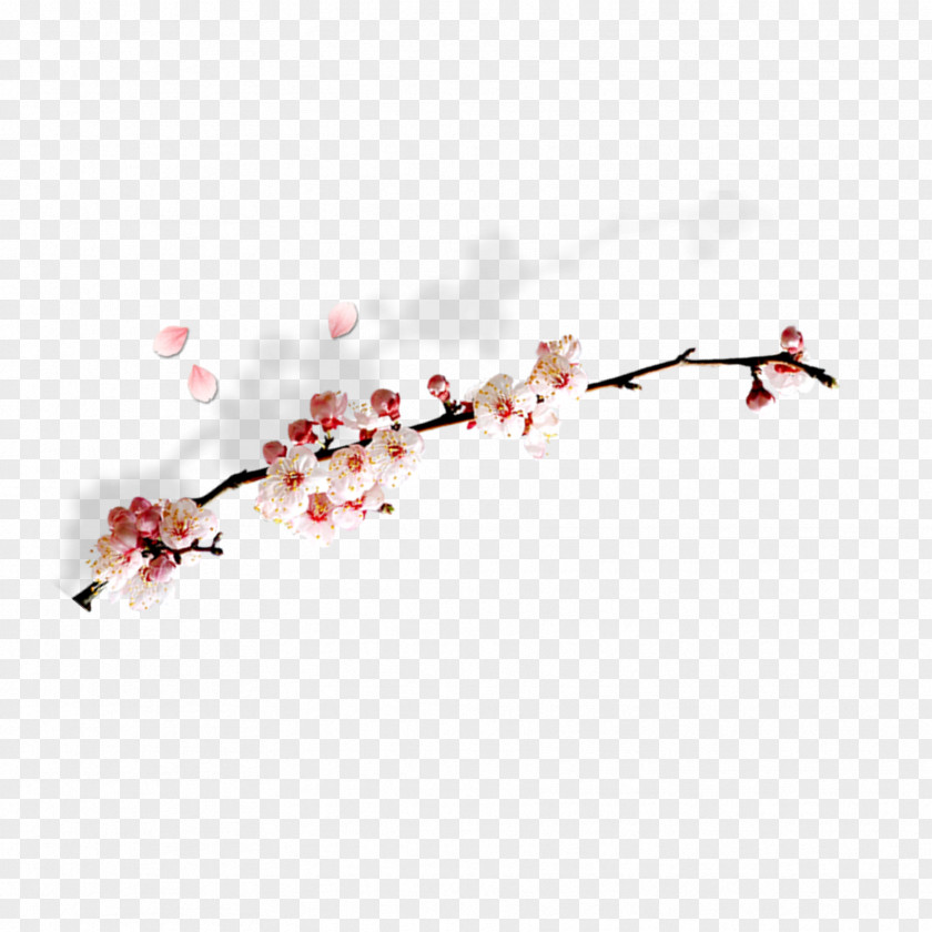 Plum Branches Computer File PNG