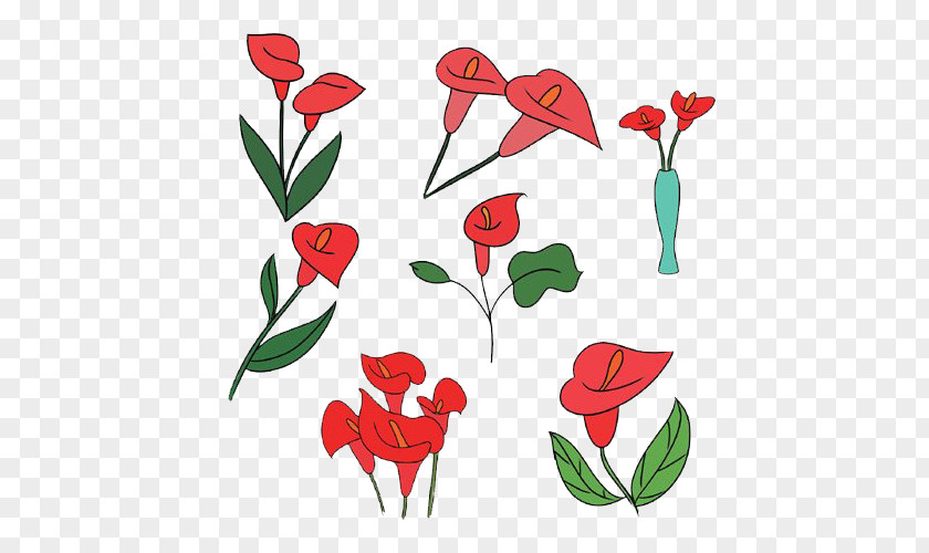 Red Calla Lily Arum-lily Floral Design Flower PNG