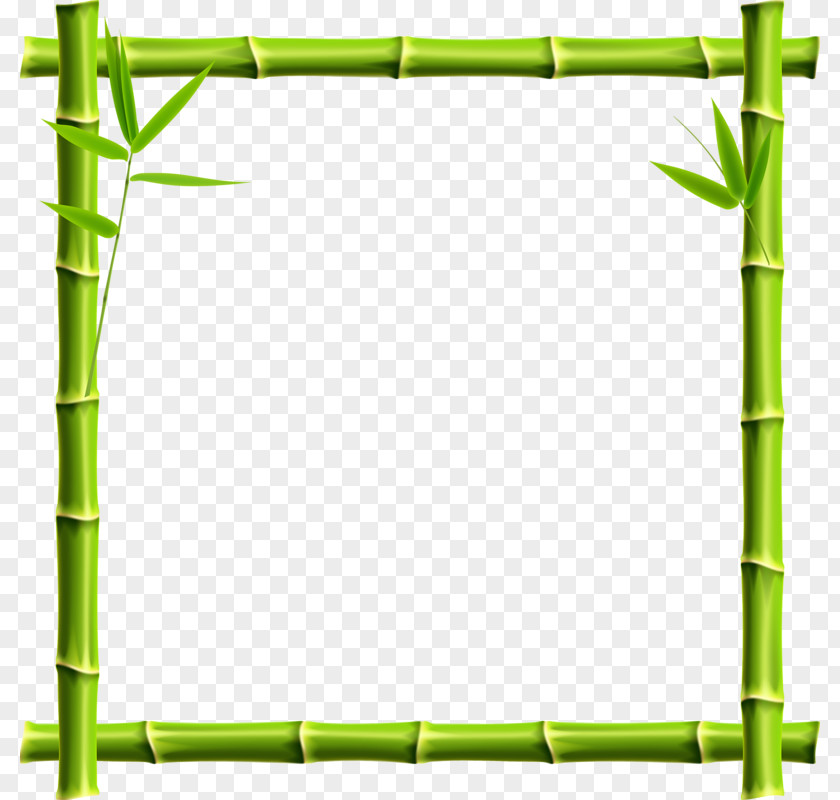 Bamboo Border Giant Panda Picture Frame Clip Art PNG