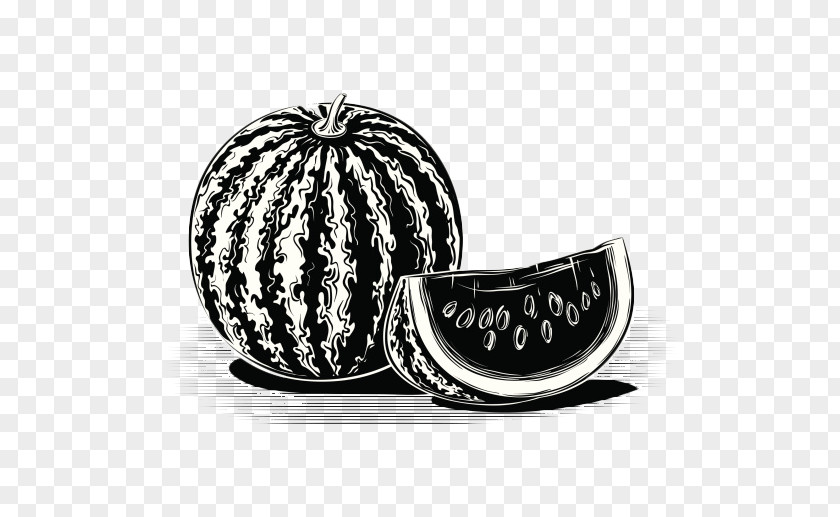 Black Sketch Watermelon Slice Shutterstock Auglis PNG