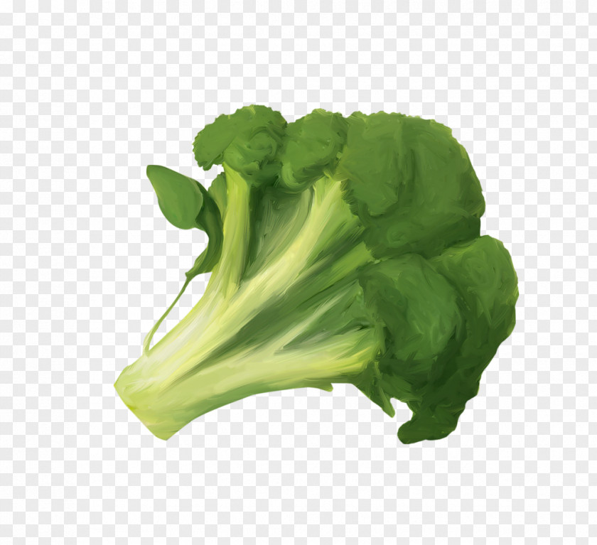 Broccoli Vegetable Fruit Cauliflower Food PNG