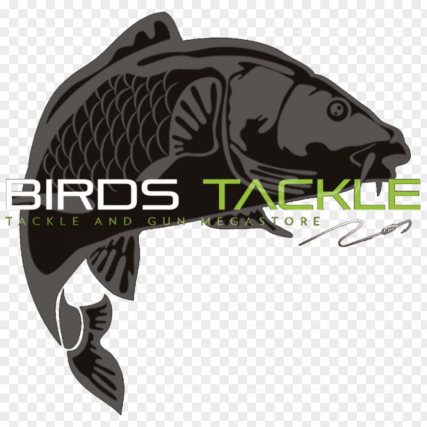 Fishing Birds Tackle Bait Boilie PNG