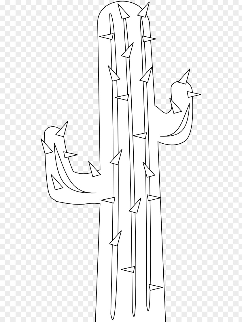Greenery Drawing Cactaceae Line Art Clip PNG
