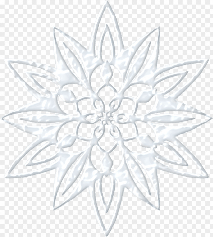 Ice Snowflake PNG