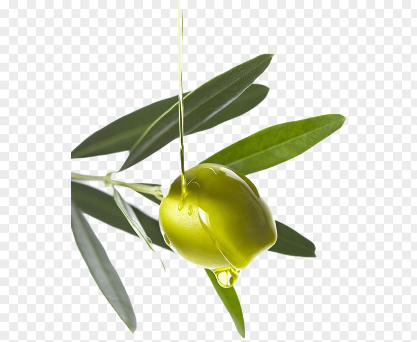 Olives Olive Oil PNG