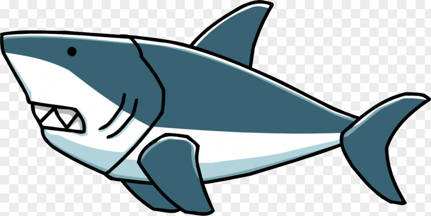Sharks Shark Fin Soup Great White Whale Clip Art PNG