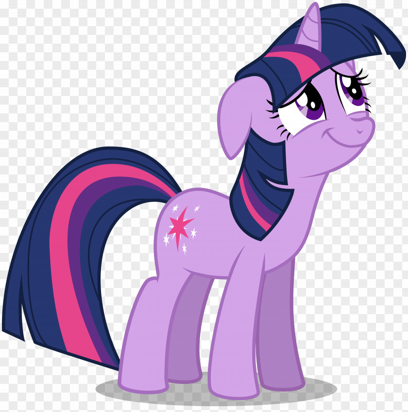 Twilight Sparkle Rarity My Little Pony YouTube PNG