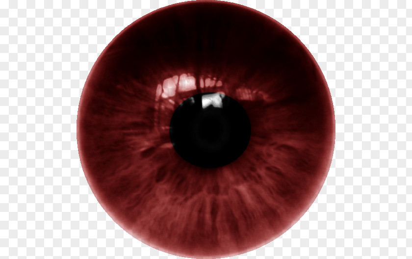 Dente Human Eye Iris Lens Color PNG