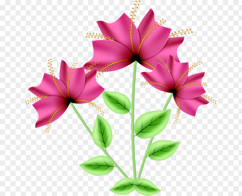 Flower Rose Drawing Clip Art PNG