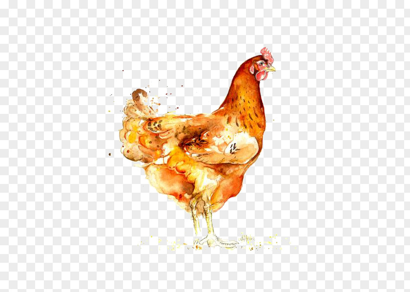 Hand-painted Big Cock Roast Chicken Watercolor: Animals Watercolor Painting PNG