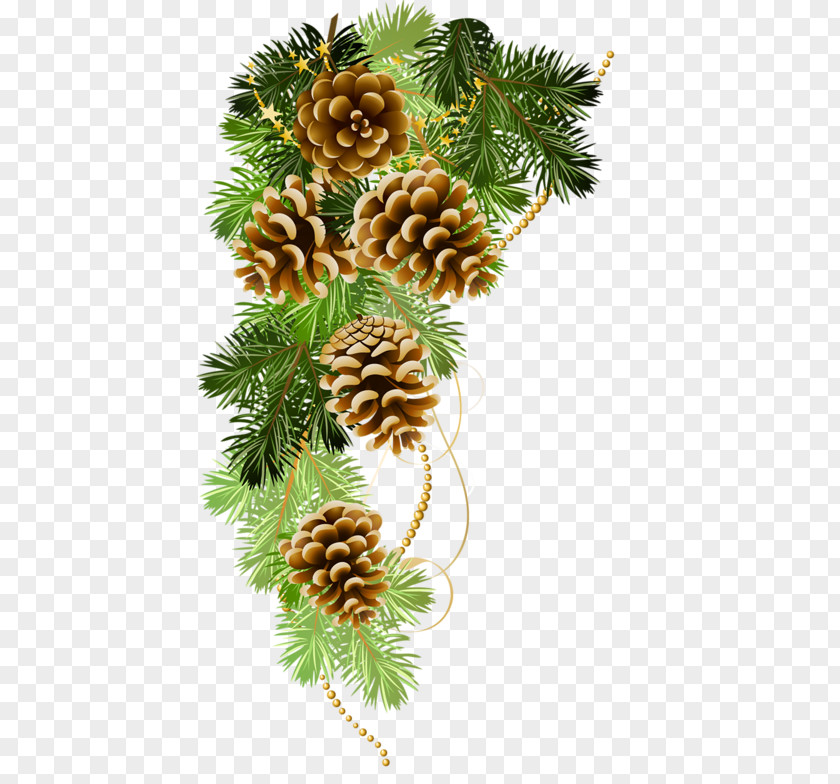 Pine Boughs Christmas Ornament Clip Art Day Decoration Fir PNG