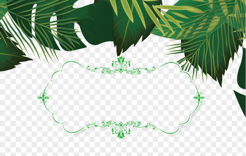 Summer Leaves Decorative Material Leaf Template PNG