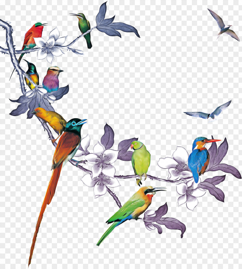 Swallow Macaw Friendship Day Animal PNG