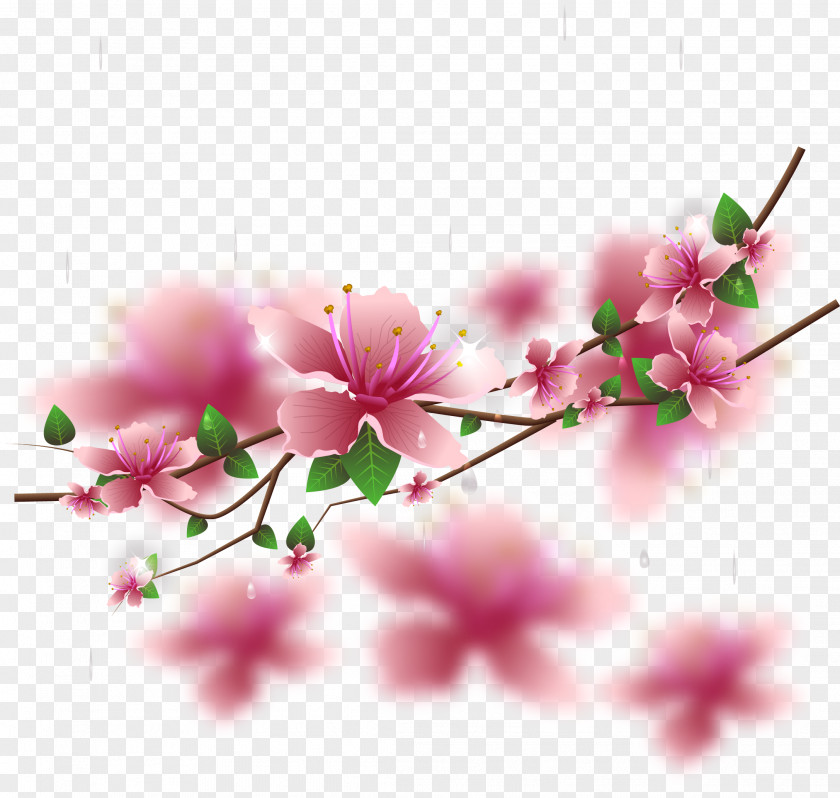 Vector Hand Painted Cherry Blossoms Blossom Floral Design PNG