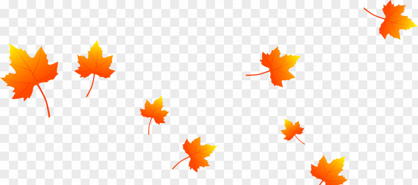 Beautiful Maple Leaves Falling Leaf Download PNG