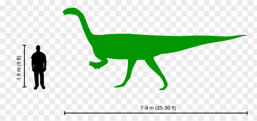 Dinosaur Plateosaurus Velociraptor Tyrannosaurus Ceratosaurus PNG