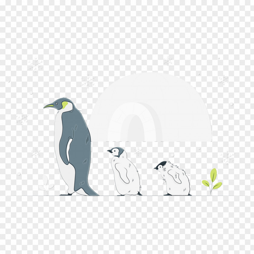 Penguins Birds Flightless Bird Beak Meter PNG