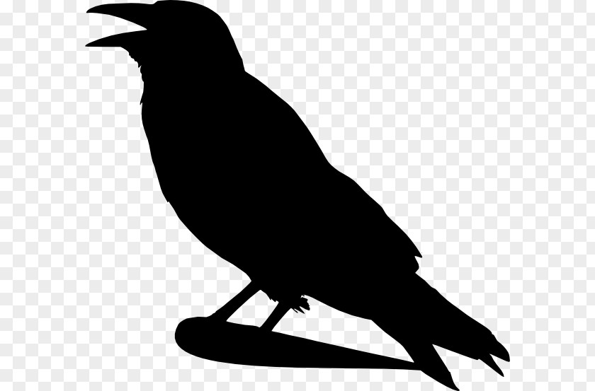 Bird Crow Silhouette Clip Art PNG