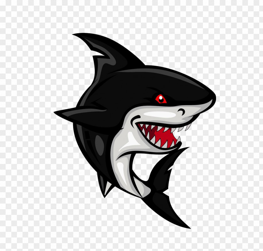 Cartoon Shark Clip Art PNG