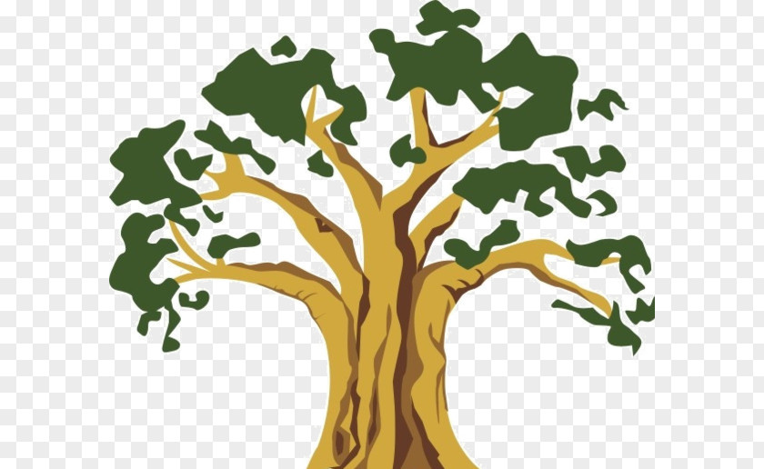 Green Tree The Book: For Kids And Their Grown-ups Banyan Wood Illustration PNG