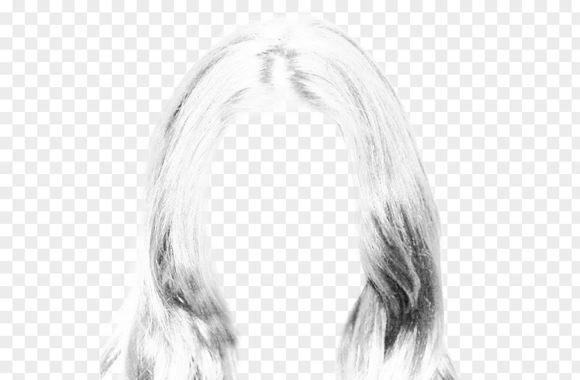Hair Style Long Hairstyle Canities PNG