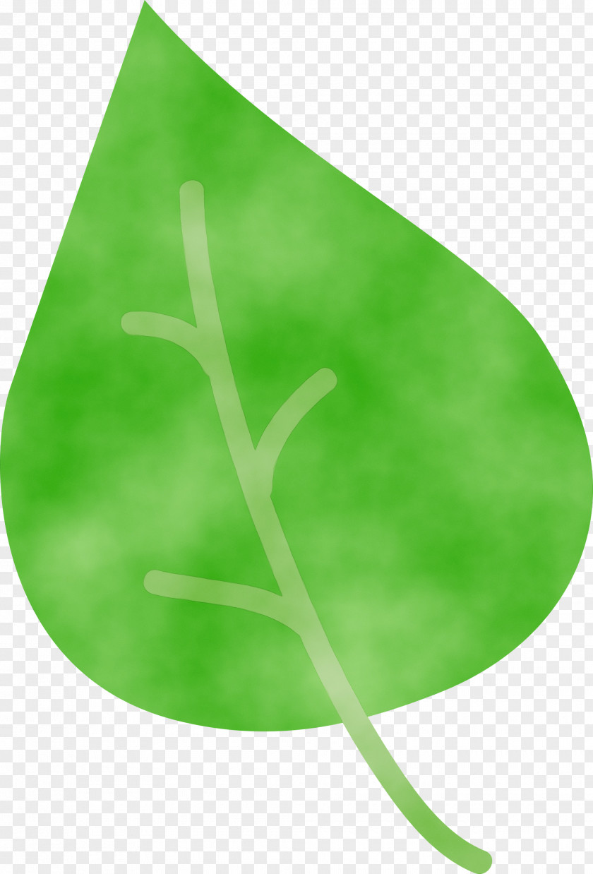 Leaf Plant Stem Green Plants Structure PNG