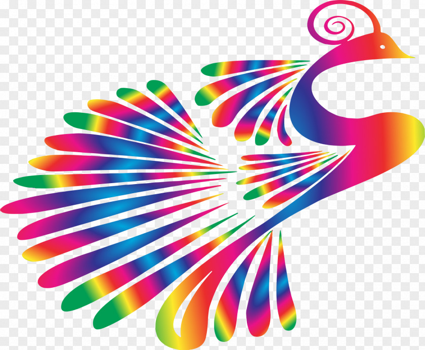 Peacock Peafowl Silhouette Drawing Clip Art PNG