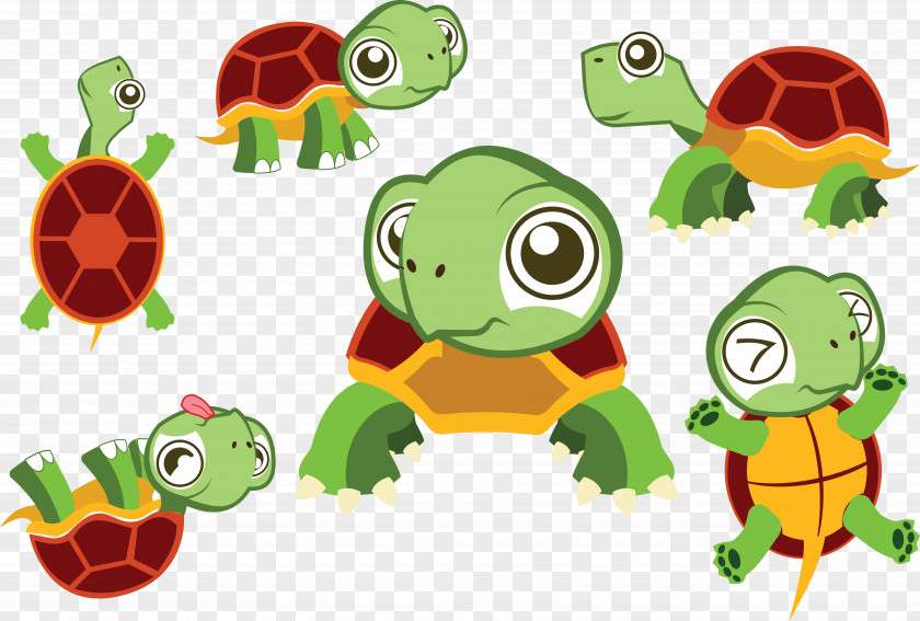 Six States Turtle Vector Cartoon Drawing Clip Art PNG