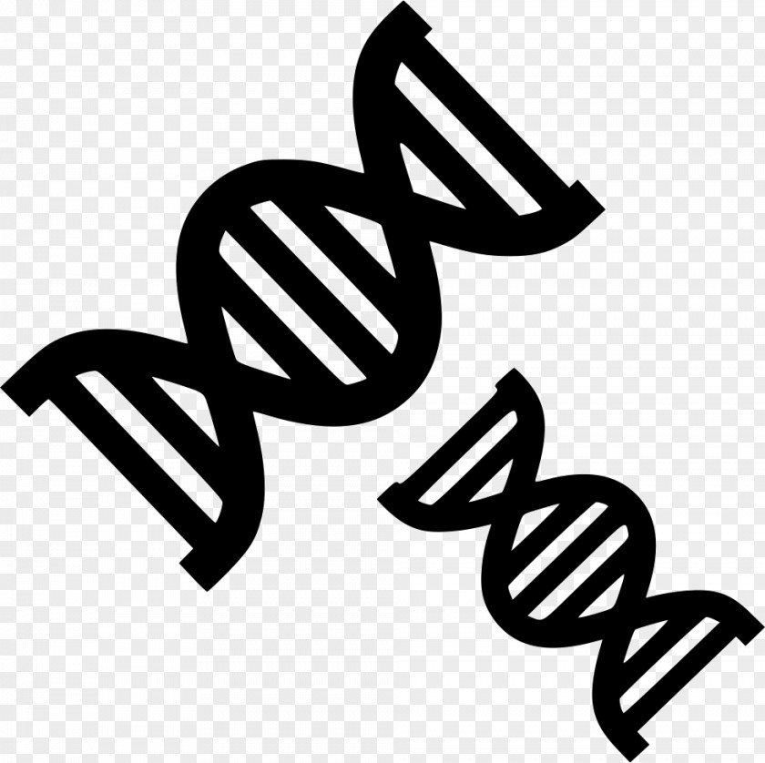 Vector DNA Nucleic Acid Double Helix Clip Art Genetics PNG