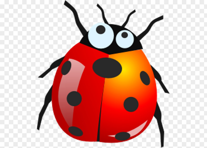 Beetle Ladybird Software Bug Clip Art PNG