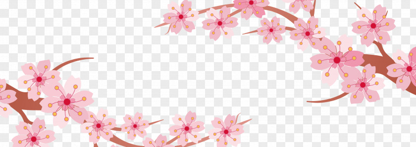 Cherry Blossoms Blossom Banner PNG