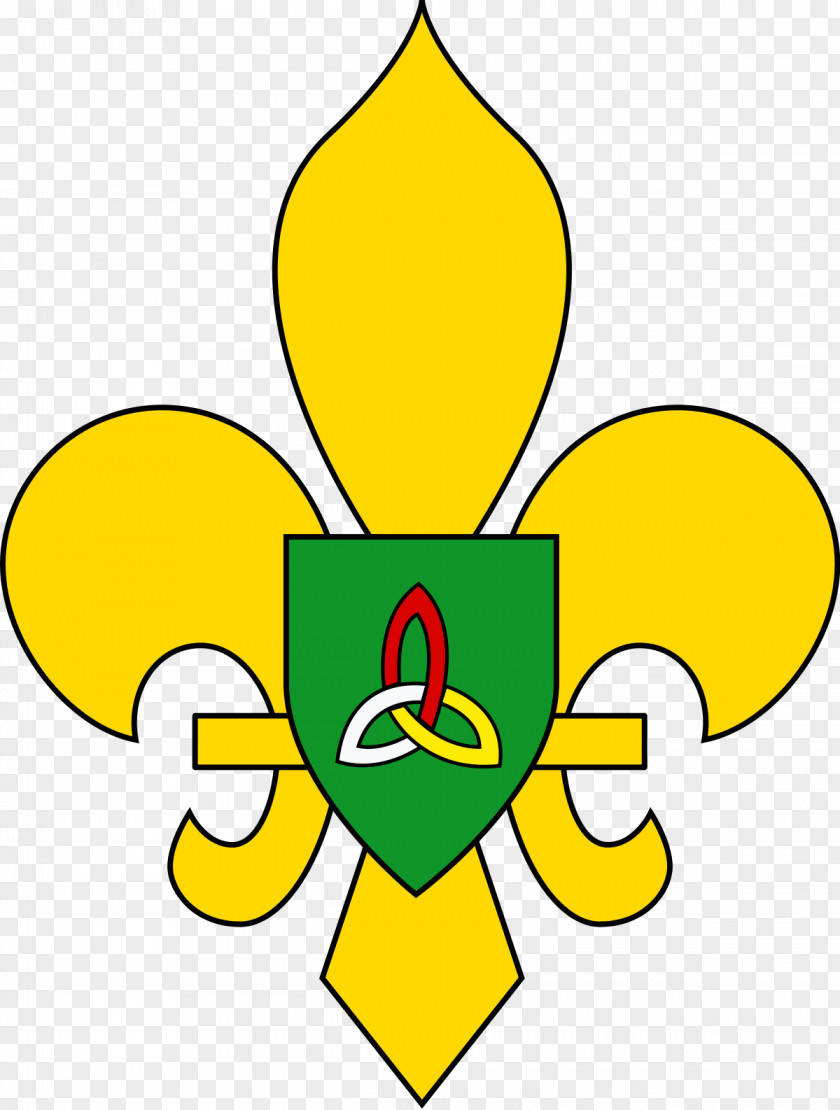 Fortune Boy Scout Association Of Ireland Scouting The Catholic Scouts PNG
