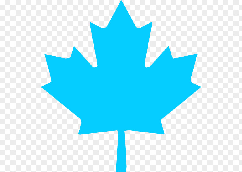 Maple Leaf Vector Canada Clip Art PNG