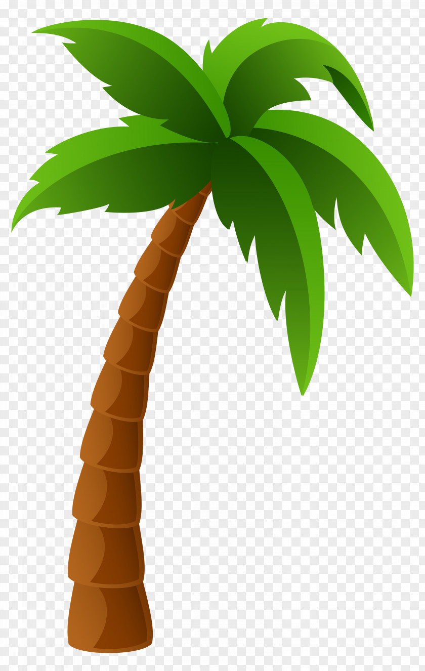 Palm Tree Image Clipart Washingtonia Filifera Arecaceae Robusta Clip Art PNG