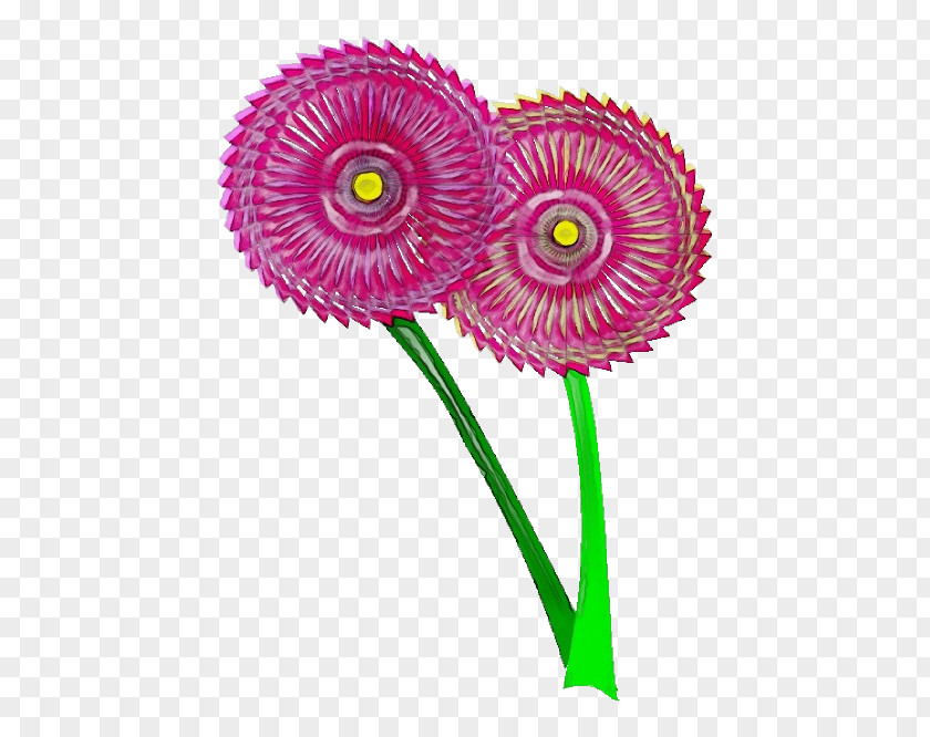 Pink Flower Plant Cut Flowers Stem PNG