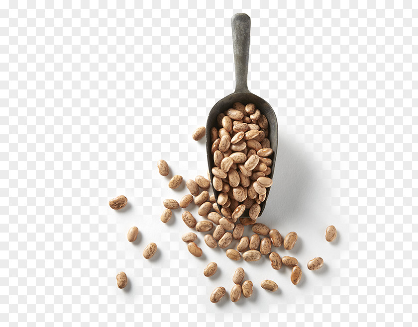 Barroco Pinto Refried Beans Bean Food Nut PNG