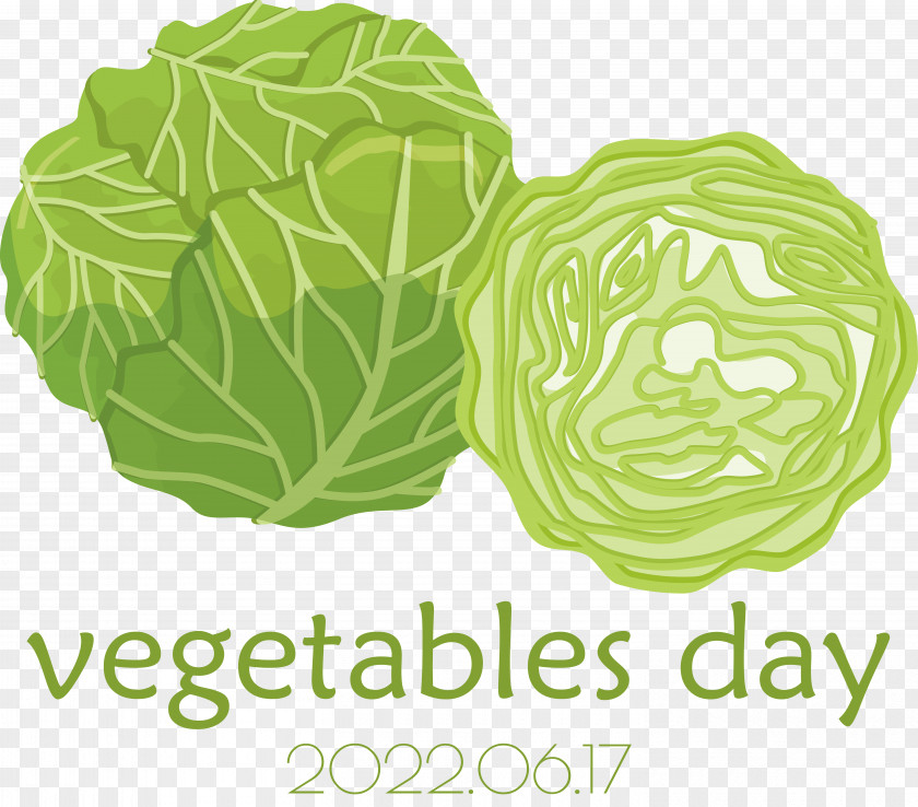 Leaf Vegetable Cabbage Vegetable Leaf Font PNG